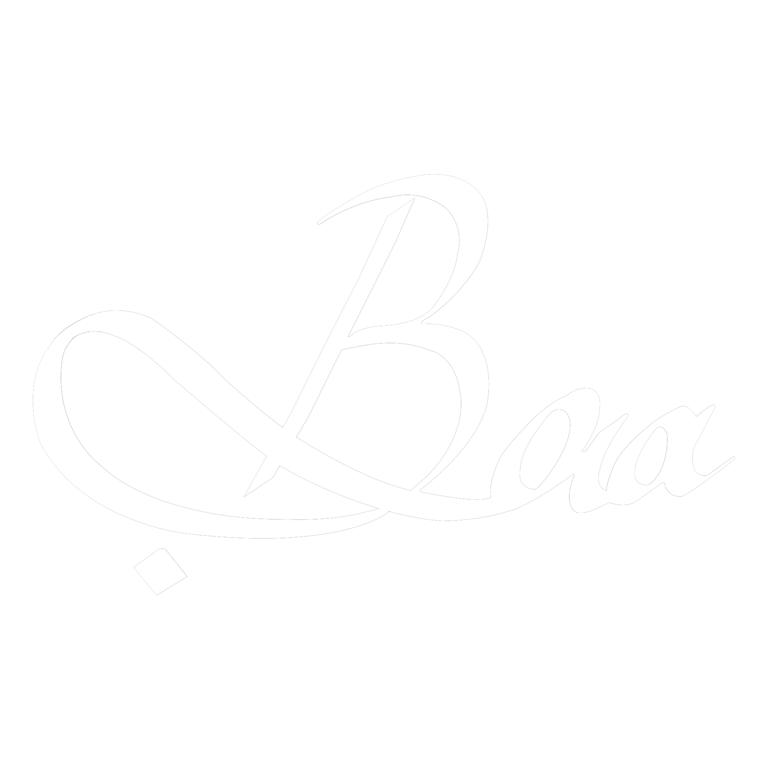 Baa%20Desi%20Dine